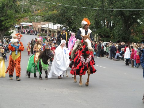 Picture by PBull-Media