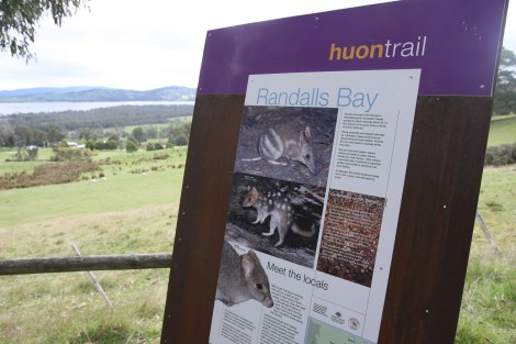 The views are great along the Huon Trail