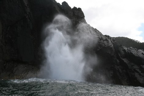 Bruny Island's blowhole was pumping. Picture: PBull-Media