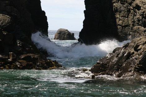 Bruny Island has heaps of interesting photographic angles