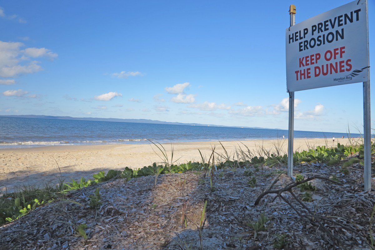 Dogs not welcome on Woorim Beach