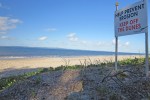Dogs not welcome on Woorim Beach